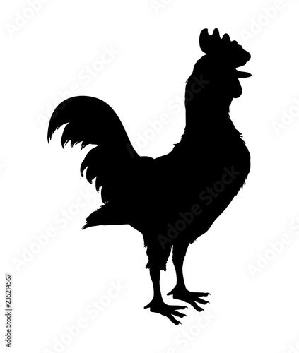 rooster animal farm icon