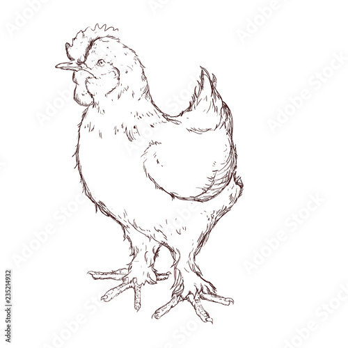 hen animal farm icon