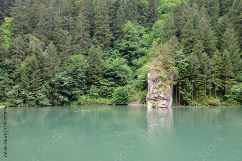 Fototapeta Naklejka Na Ścianę i Meble -  lake in deep forest