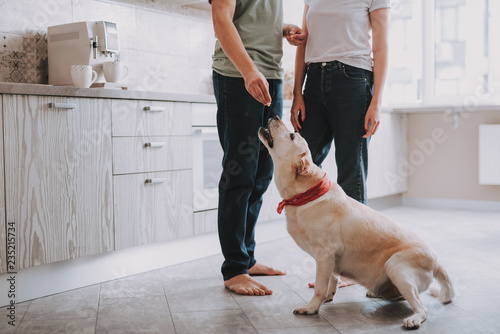Two people in casual style feeding their hungry dog while standing in bright kitchen at home