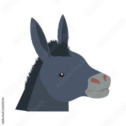 donkey animal farm icon