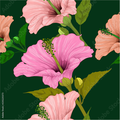 Vector. Hibiscus - flowers and buds. Seamless background pattern. Perfume and cosmetic plants. Wallpaper. Decorative composition. Use printed materials, signs, posters, postcards, packaging.