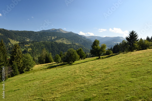 Summer beautiful landscape in the Carpathian Mountains (Romania).