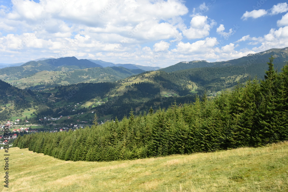 Summer landscape in the Carpathian Mountains (Romania). Summer landscape in the Carpathian Mountains (Romania).