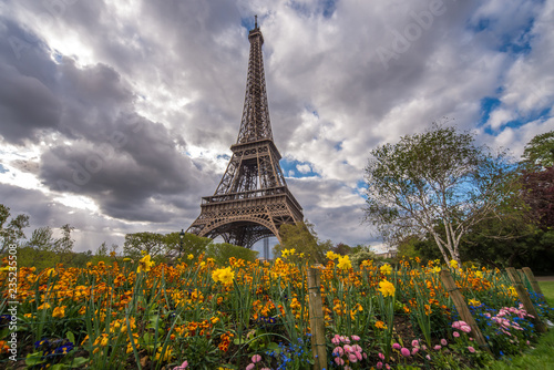 Eifel tower clouds and flowers