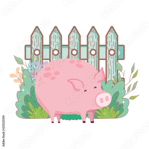 pig animal farm with garden and fence photo