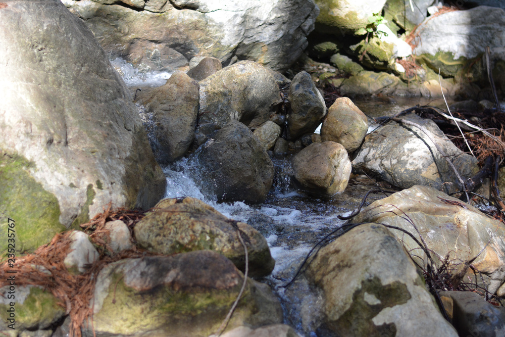 Obraz premium Stream in Forest