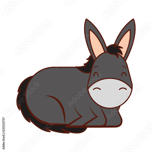 donkey cartoon animal wild life
