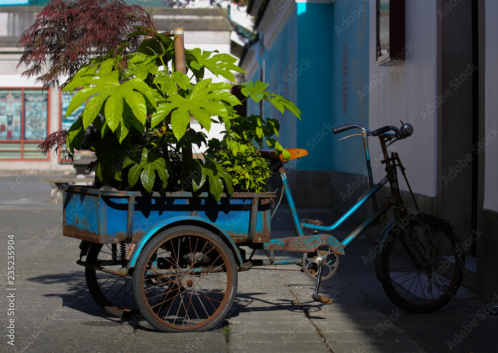Vintage bicycle with flowers near Chinese Buildings in Vancouver, British Columbia