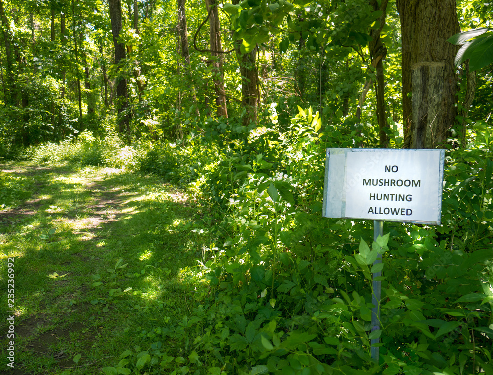 A sign forbidding wild mushroom hunting foraging is posted along a forest path