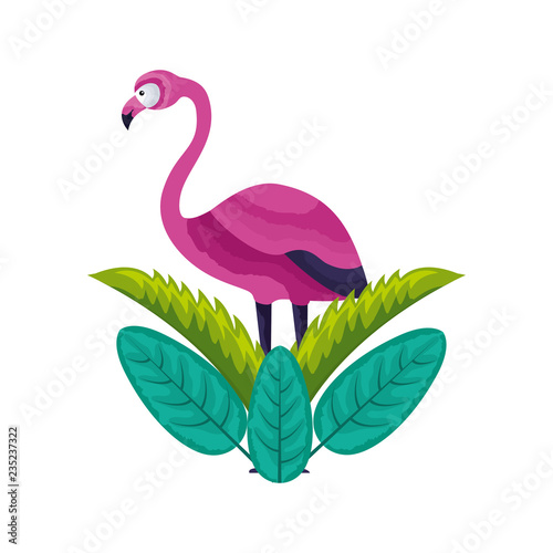 exotic flamingo bird leaves tropical