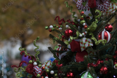 Outdoor Christmas decorations in the park © Stan Reese