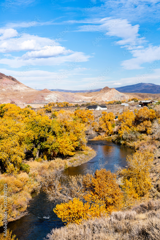 River and Trees in Fall, Nevada