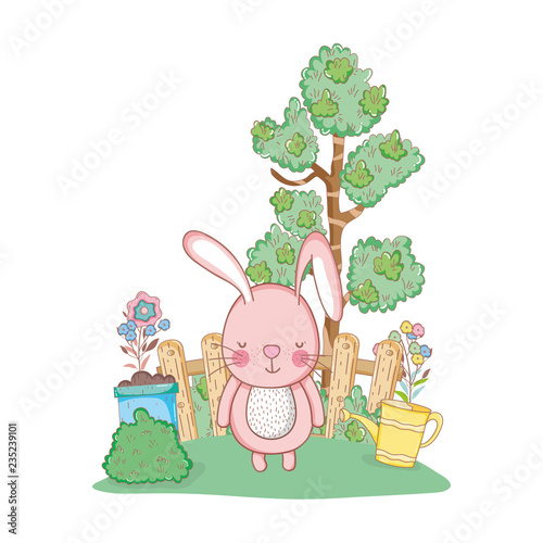 little rabbit in the garden