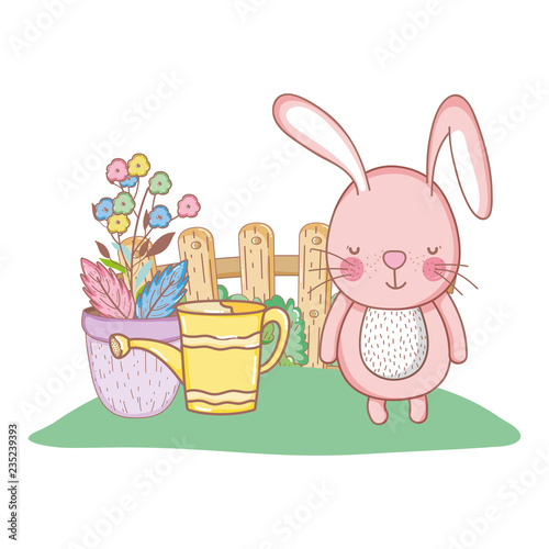 little rabbit in the garden