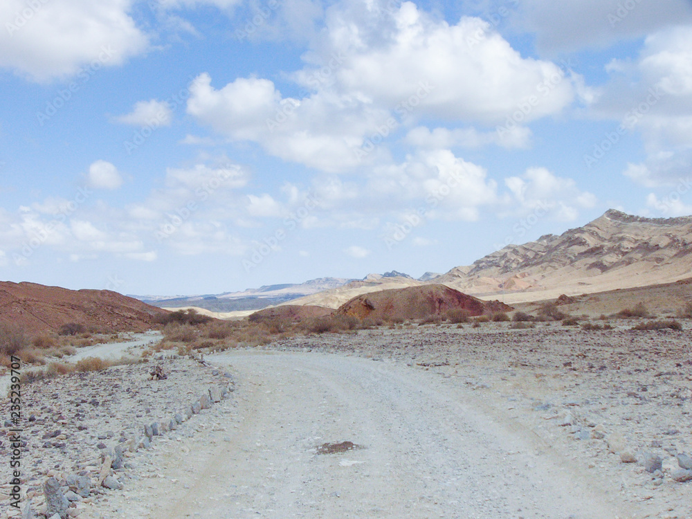 Fototapeta premium road in the desert