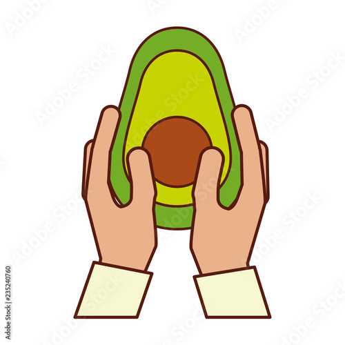 hands holding avocado