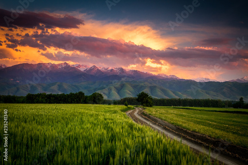 beautiful colorful sunset in Kazakhstan in the mountains near to Almaty with clouds with wheat field in front 