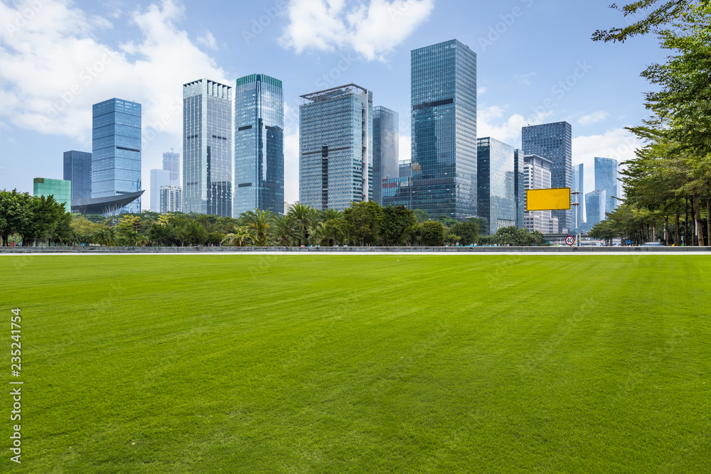 cityscape and skyline of Shenzhen from meadow in park