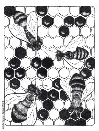 abstract background with bee