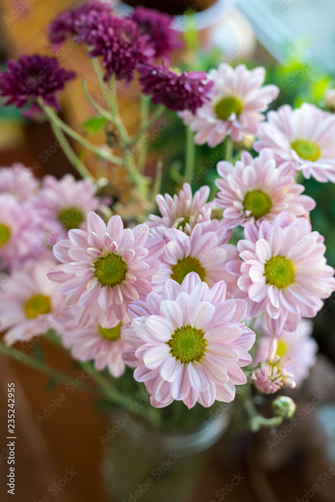 Obraz premium Beautiful pink flowers in vase