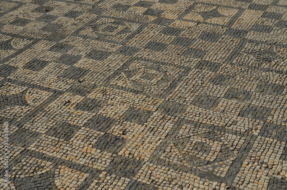 Fototapeta premium Roman Mosaic at Conimbriga Portugal 7
