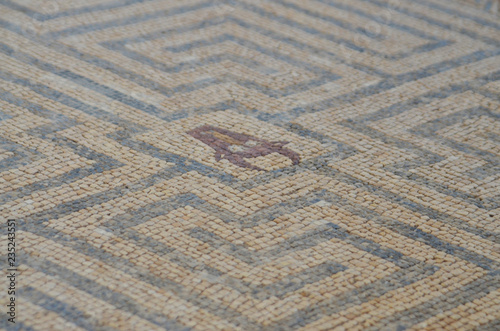Roman Mosaic at Conimbriga Portugal 15