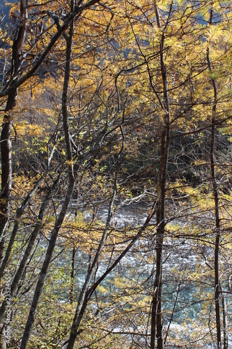 秋の梓川