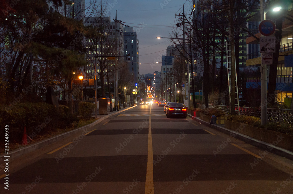 Obraz premium Down hill at Gangnam Seoul, at night