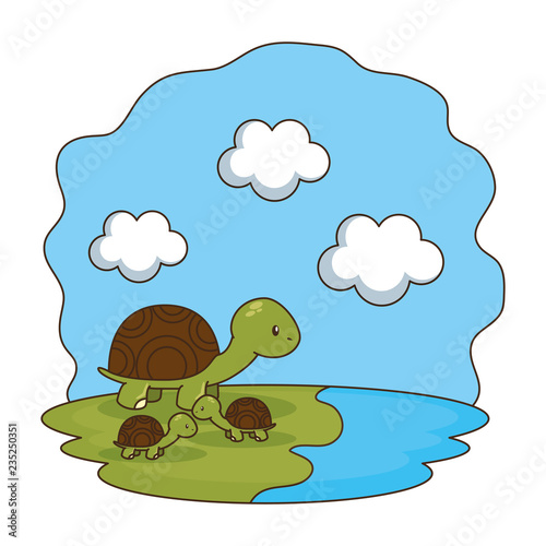 cute turtles family in the camp