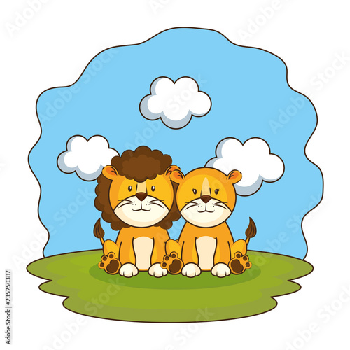 cute lions couple in the camp