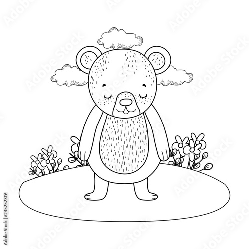 cute little bear in the camp