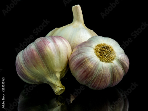 Three garlic bulbs on black background