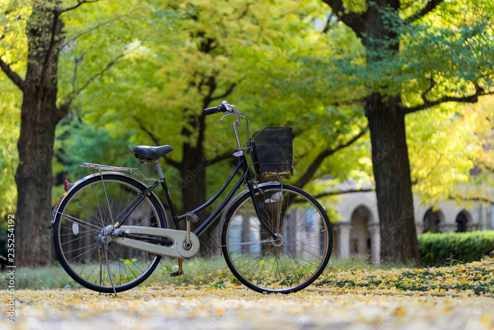 bicycle parked in the park, among the fields of Ginkgo tree. The Bam is full of gardens. Beautiful to relax. Fitness concept Make a vintage tint
