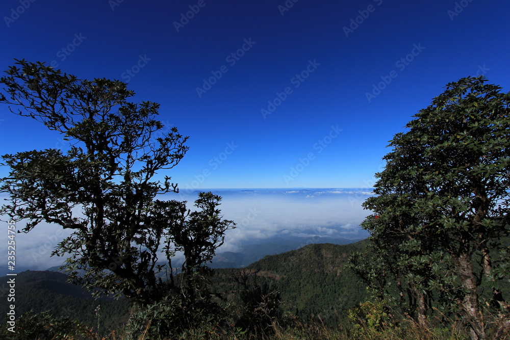 Fototapeta premium Kew Mae Pan Nature Study Trail on Doi Inthanon National Park, Chiang Mai, Thailand