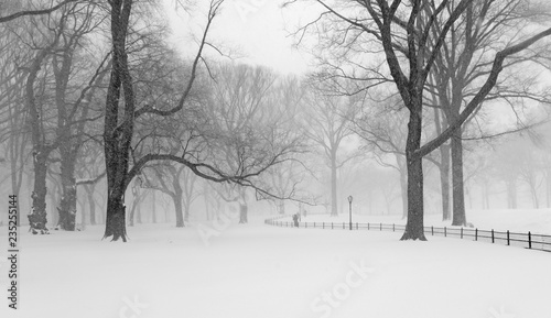 Central Park during middle of snowstorm with snow falling in New York City during Noreaster