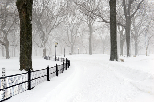 Central Park during middle of snowstorm with snow falling in New York City during Noreaster photo