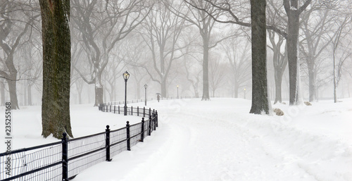 Central Park during middle of snowstorm with snow falling in New York City during Noreaster photo