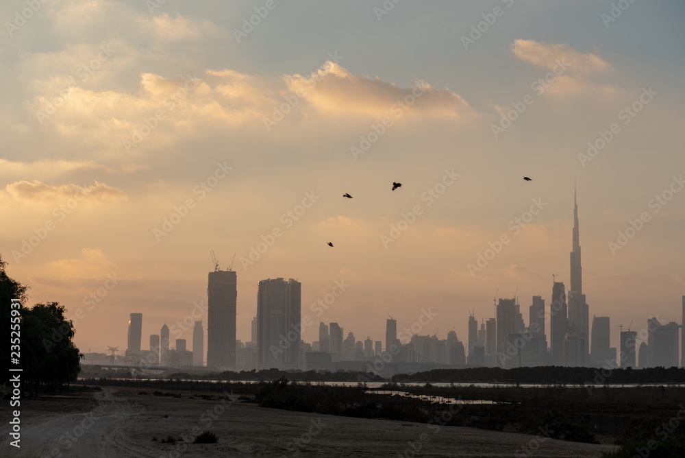 Obraz premium Dubai skyline from Ras Al Khor, United Arab Emirates