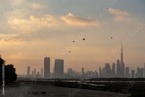 Dubai skyline from Ras Al Khor  United Arab Emirates