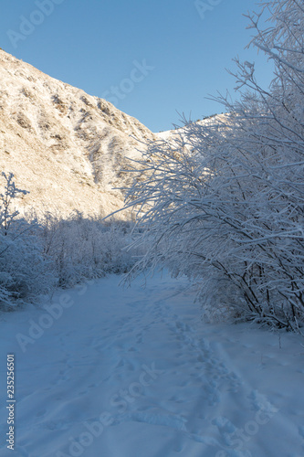 snowy road in the mountains in winter