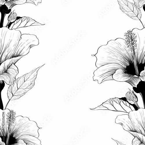 Vector. Hibiscus - flowers and buds. Seamless background pattern. Perfume and cosmetic plants. Wallpaper. Decorative composition. Use printed materials, signs, posters, postcards, packaging.