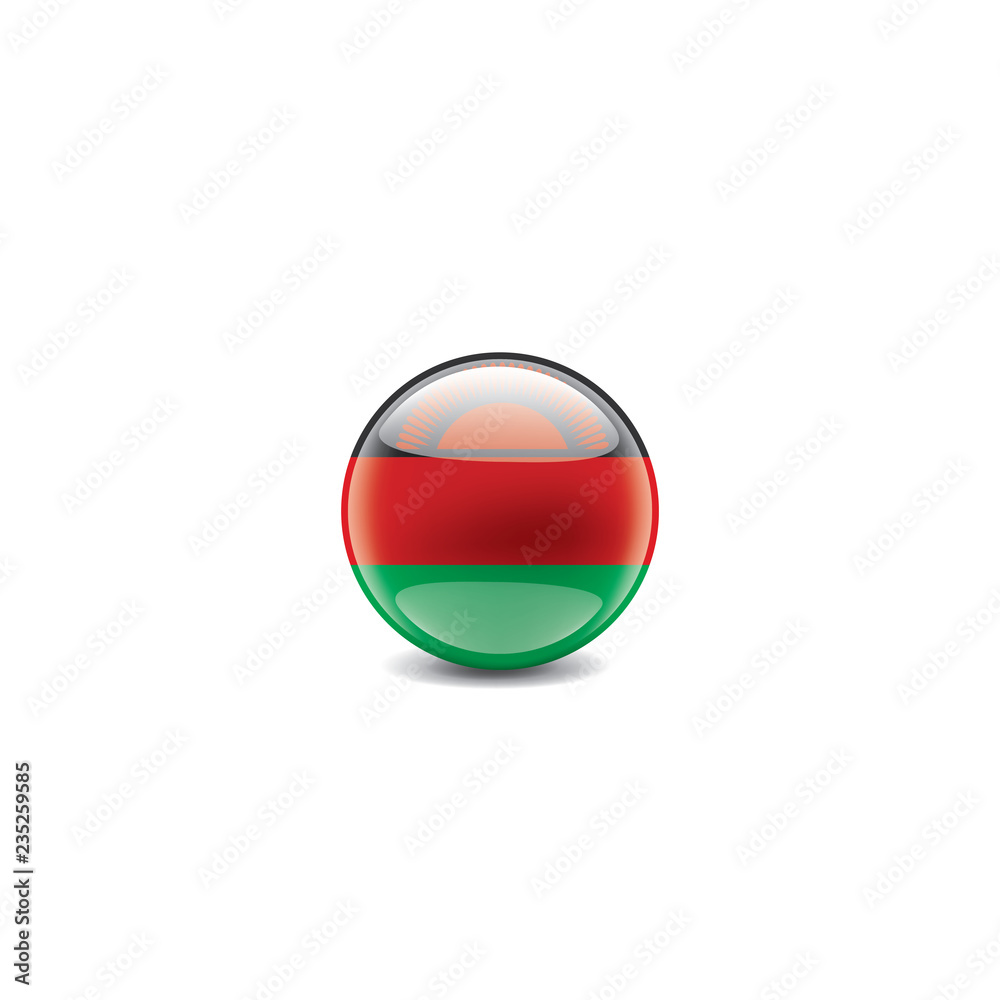 Malawi flag, vector illustration on a white background