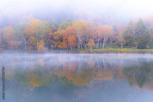 霧に包まれた秋の木戸池