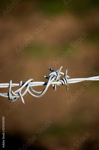 Isolated barbed wired fence providing security to farmland in rural Hampshire