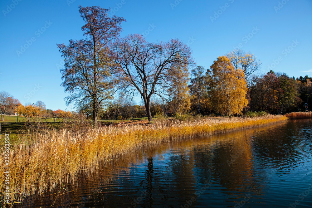 Autumn landscape with water and trees