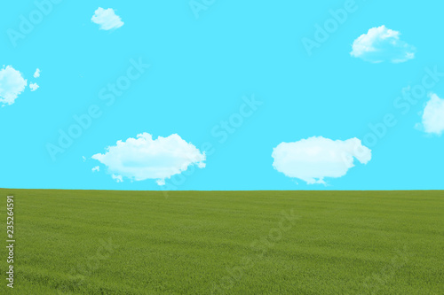 青空と雲と草原　コピースペース