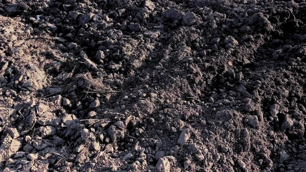 Empty plowed field with dark soil at beginning of spring or end of autumn. Plowing field soil after autumn works. Farm in countryside - black soil fields in autumn season. Empty plowed field with dark soil at beginning of spring or end of autumn. Plowing field soil after autumn works. Farm in countryside - black soil fields in autumn season.