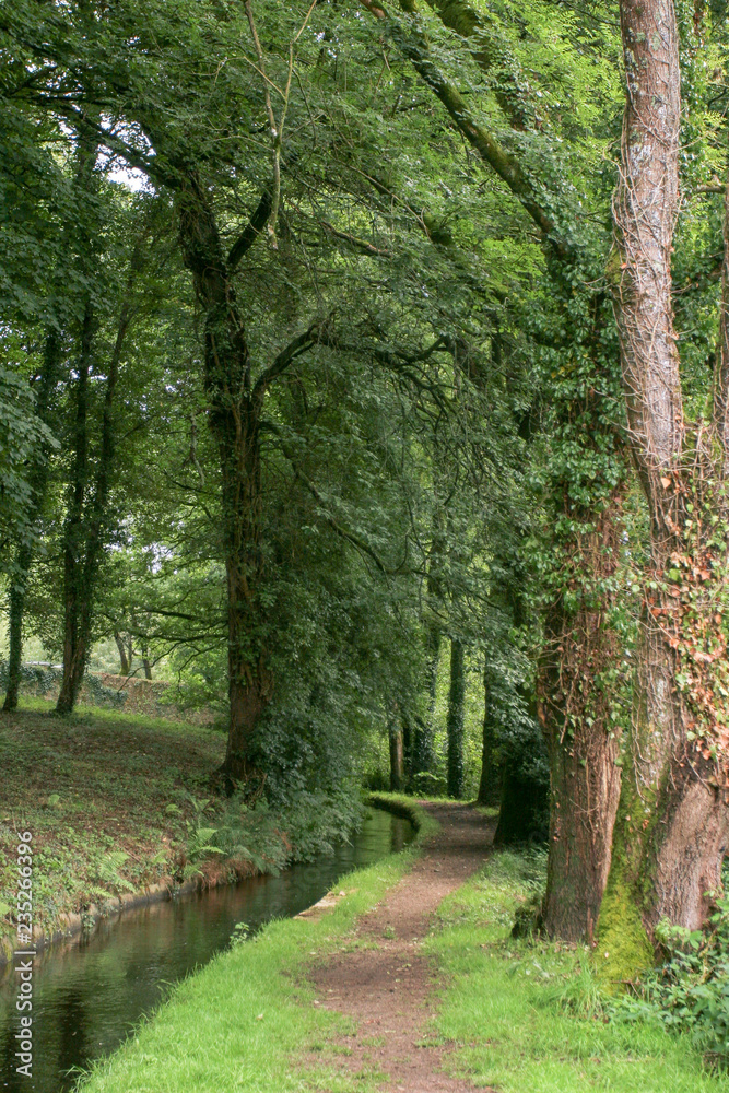 Flowing river in the forest. Huelgoat Brittany France Flowing river in the forest. Huelgoat Brittany France
