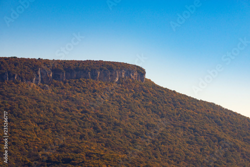 Scenic landscape with trees in mountain forest in autumn photo